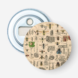 Bee Insect Bug Wasp Natural History Bees Bottle Opener