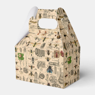 Bee Insect Bug Wasp Natural History Bees Favour Box