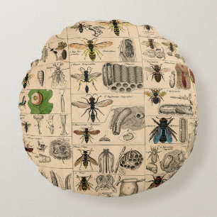 Bee Insect Bug Wasp Natural History Bees Round Cushion