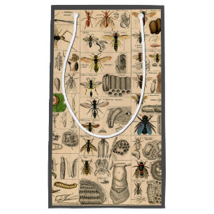 Bee Insect Bug Wasp Natural History Bees Small Gift Bag