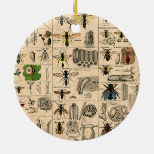 Bee Insect Bug Wasp Natural Nature Bees Painting Ceramic Tree Decoration