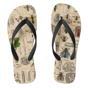 Bee Insect Bug Wasp Natural Nature Bees Painting Jandals