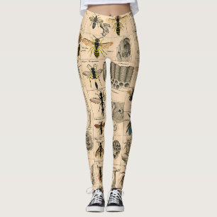 Bee Insect Bug Wasp Natural Nature Bees Painting Leggings