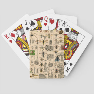 Bee Insect Bug Wasp Natural Nature Bees Painting Playing Cards