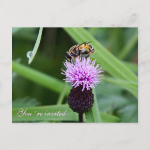 Bee invitation postcard