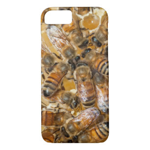 Bee keeping at Arlo's Honey Farm Case-Mate iPhone Case