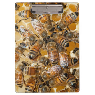 Bee keeping at Arlo's Honey Farm Clipboard