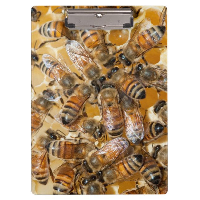 Bee keeping at Arlo's Honey Farm Clipboard (Front)
