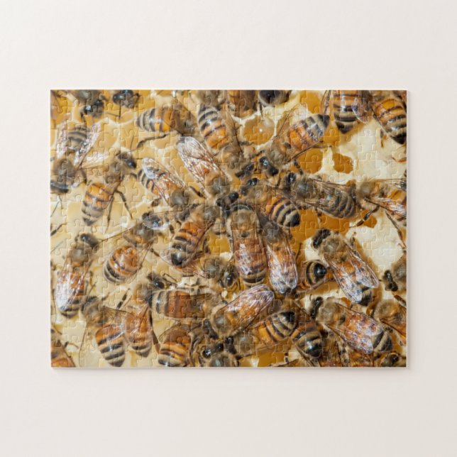 Bee keeping at Arlo's Honey Farm Jigsaw Puzzle (Horizontal)