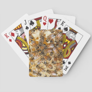 Bee keeping at Arlo's Honey Farm Playing Cards
