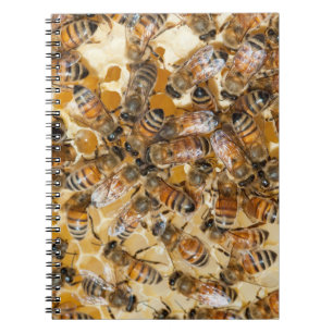 Bee keeping at Arlo's Honey Farm Spiral Notebook