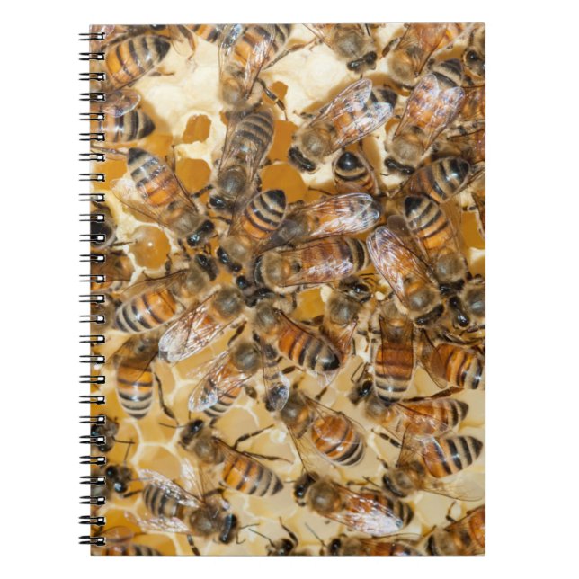 Bee keeping at Arlo's Honey Farm Spiral Notebook (Front)