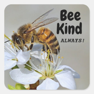 Bee Kind Always! Square Sticker