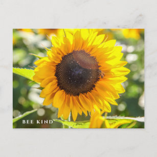 Bee Kind   Sunflower Postcard