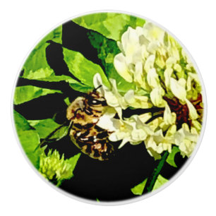 Bee Knob