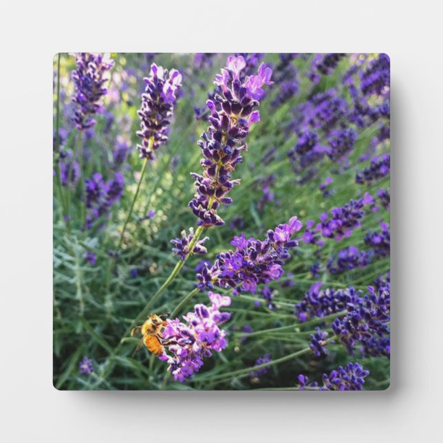 Bee & Lavender Plaque (Front)