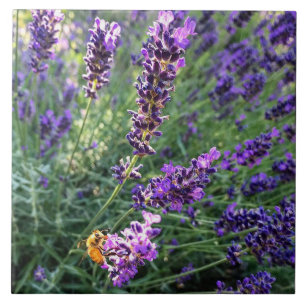 Bee & Lavender Tile