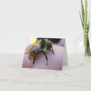 Bee note card