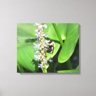 Bee on a Flower Canvas Print
