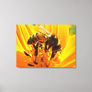 Bee on a Flower Canvas Print