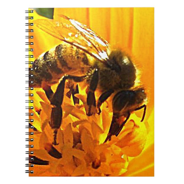 Bee on a Flower Spiral Notebook (Front)