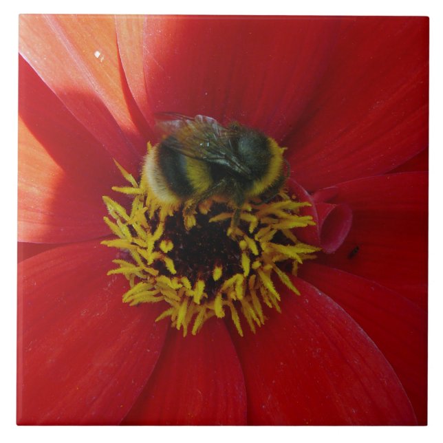 Bee on a red flower ceramic tile (Front)