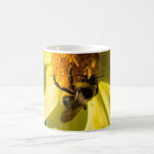 Bee on a yellow flower coffee mug