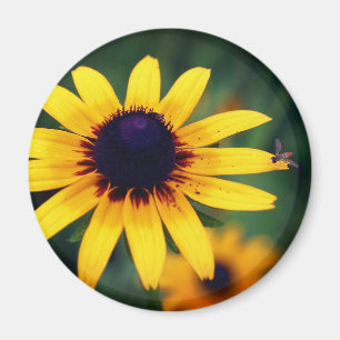 Bee On Black Eyed Susan Flower Nature Magnet