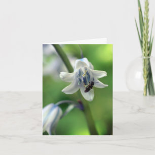 Bee On Bluebell Flower Photography  Note Card