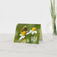Bee On Camomile Flower Hi! Blank Photo Note Card