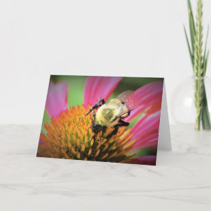 Bee on Coneflower, card