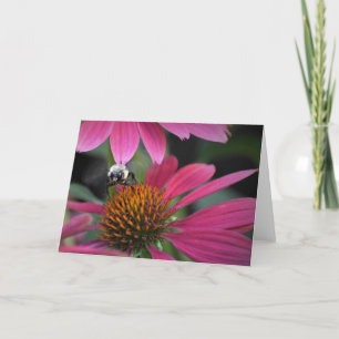 Bee on Coneflower, card