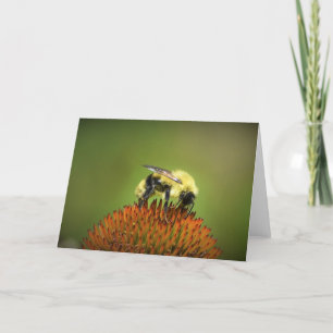 Bee on Coneflower, card