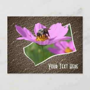 Bee On Cosmos Flower Customisable Postcard