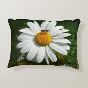Bee on Daisy Alaskan Summer Nature Photo Decorative Cushion