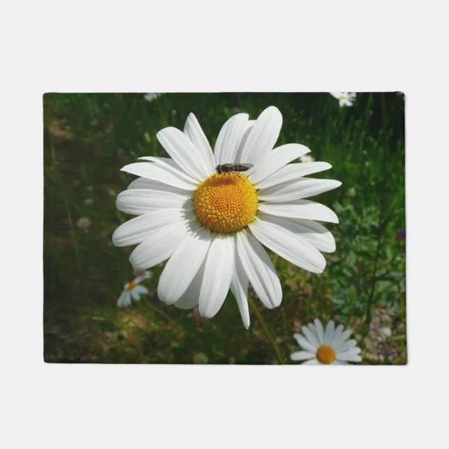 Bee on Daisy Alaskan Summer Nature Photo Doormat (Front)