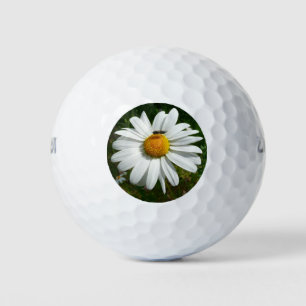 Bee on Daisy Alaskan Summer Nature Photo Golf Balls