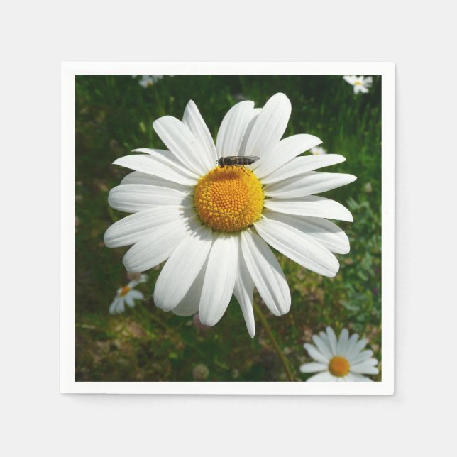 Bee on Daisy Alaskan Summer Nature Photo Napkin (Front)