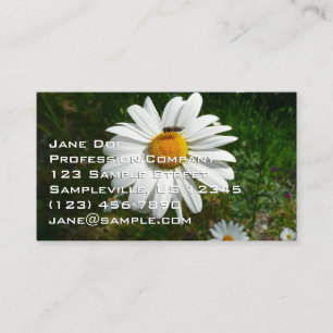 Bee on Daisy Business Card