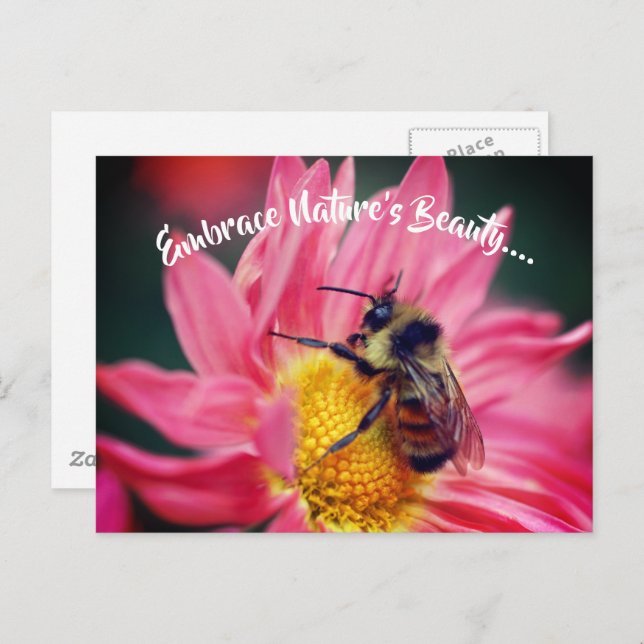 Bee On Daisy Embrace Nature Inspirational  Postcard (Front/Back)