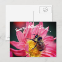 Bee On Daisy Embrace Nature Inspirational