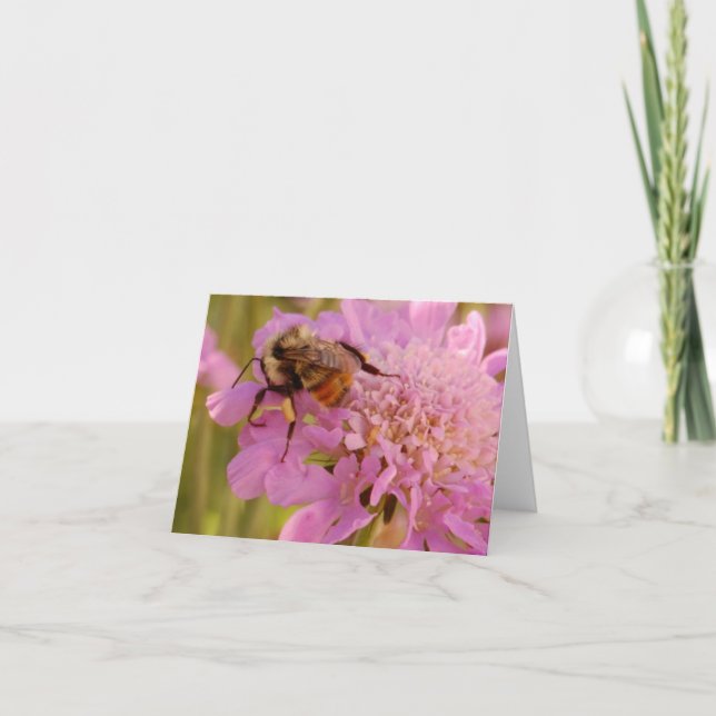 Bee on Flower Card (Front)