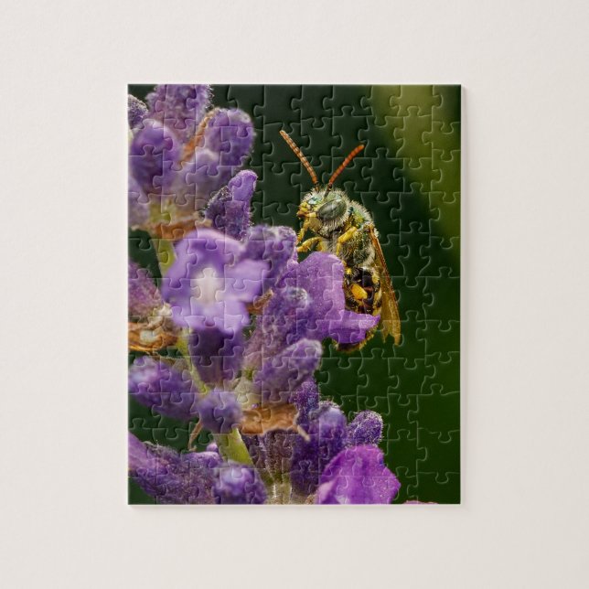 Bee on Flower Jigsaw Puzzle (Vertical)
