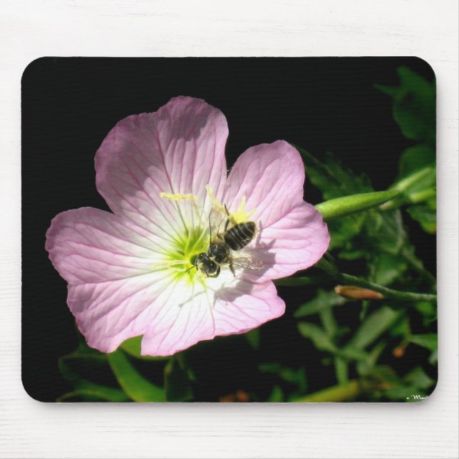 Bee On Flower Mouse Pad (Front)