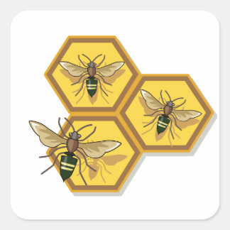 Bee on Homeycomb Square Sticker