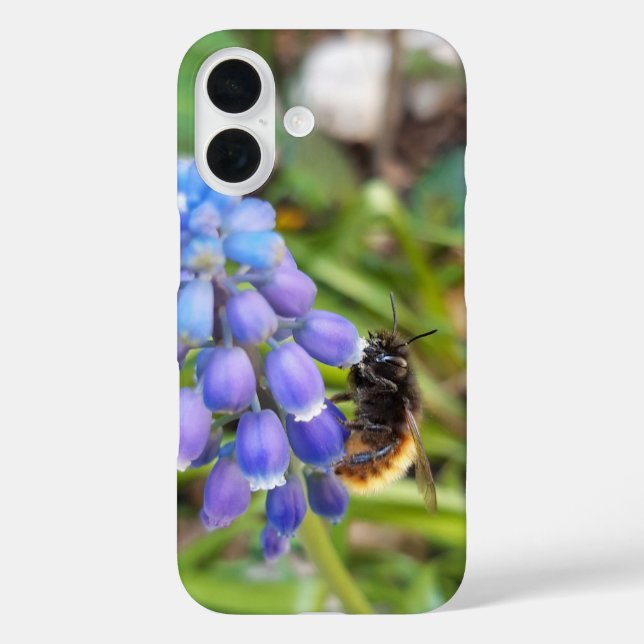Bee on Muscari Armeniacum , Grape Hyacinth Case-Mate iPhone Case (Back)
