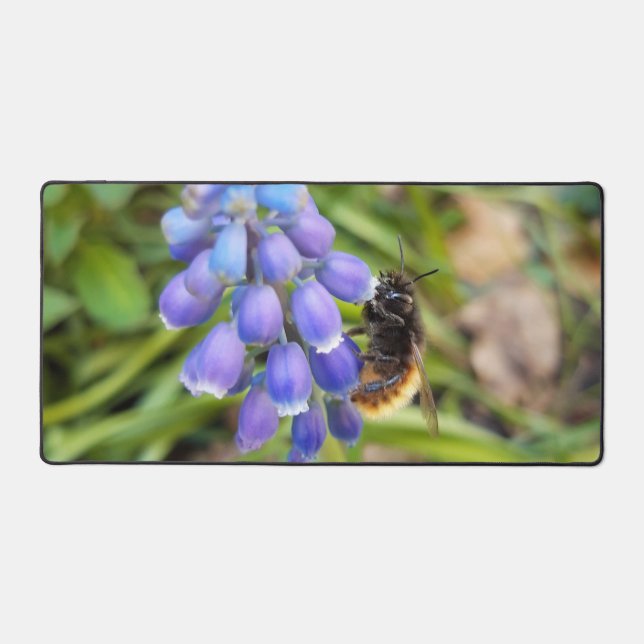 Bee on Muscari Armeniacum , Grape Hyacinth Desk Mat (Front)