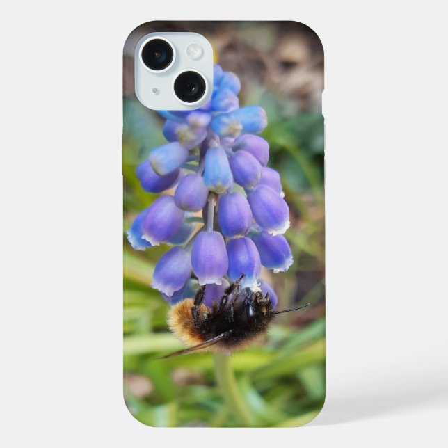 Bee on Muscari Armeniacum , Grape Hyacinth iPhone Case (Back)