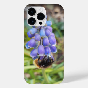 Bee on Muscari Armeniacum , Grape Hyacinth iPhone 14 Pro Max Case