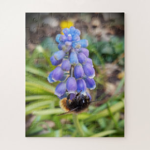 Bee on Muscari Armeniacum , Grape Hyacinth Jigsaw Puzzle